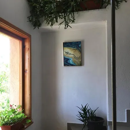 ゲストハウス Chervenkov 2*