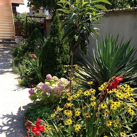 ゲストハウス Chervenkov チェルノモレツ