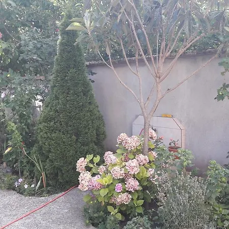 ゲストハウス Chervenkov 2*