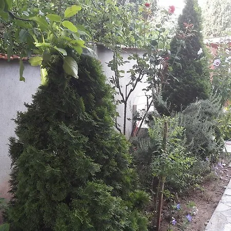 ゲストハウス Chervenkov 2*