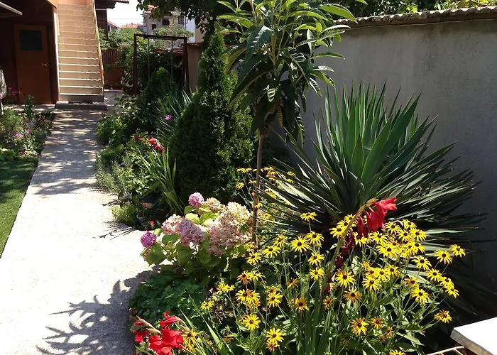 Pensiune Chervenkov Cernomoreț