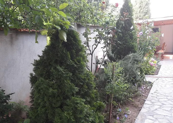 Pensiune Chervenkov 2*