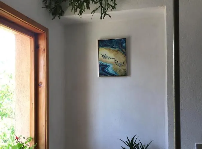 招待所 Chervenkov 2*