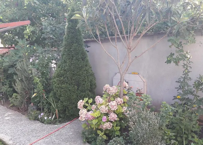 招待所 Chervenkov 2*